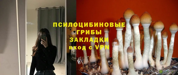 мяу мяу мука Аркадак