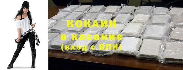 твердый Арсеньев