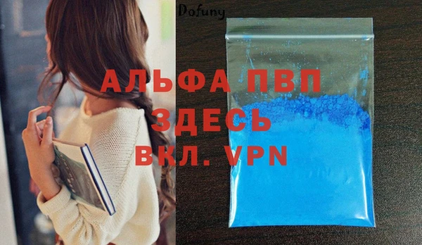 твердый Арсеньев