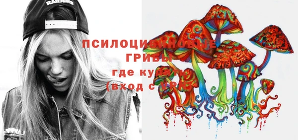 мяу мяу мука Аркадак
