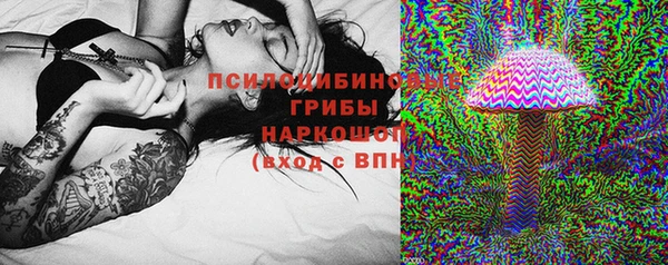 мяу мяу мука Аркадак